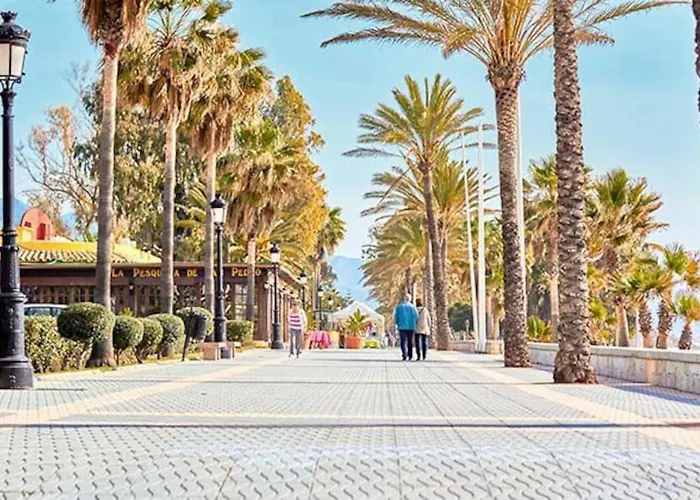 Апартаменты Spacious And Centrally Located In San Pedro De Alcantara *